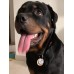 Customized Dog Cat Tag Pet ID Personolized Design