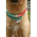 Customized Shark Shape Dog Tag Cat Collar ID for Dog and Cat 